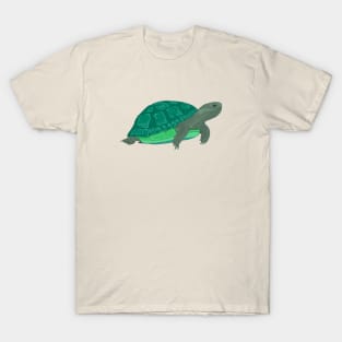 turtle T-Shirt